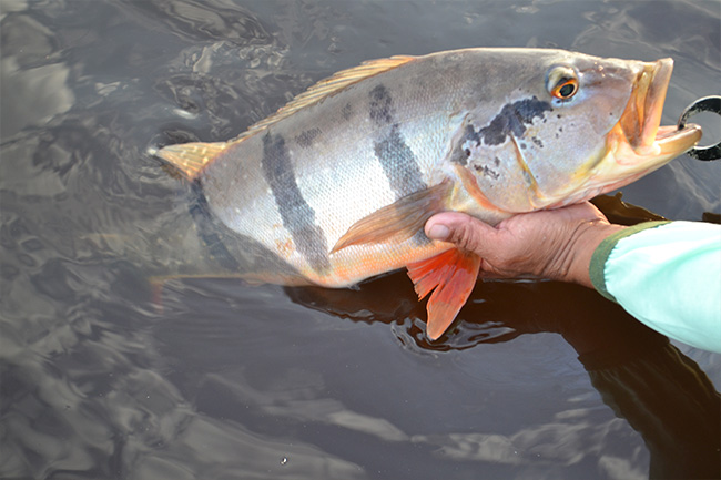 A Pousada - Pescaria