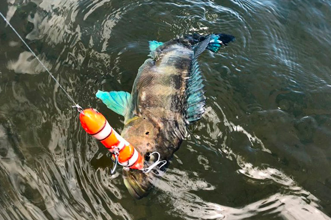 A Pousada - Pescaria